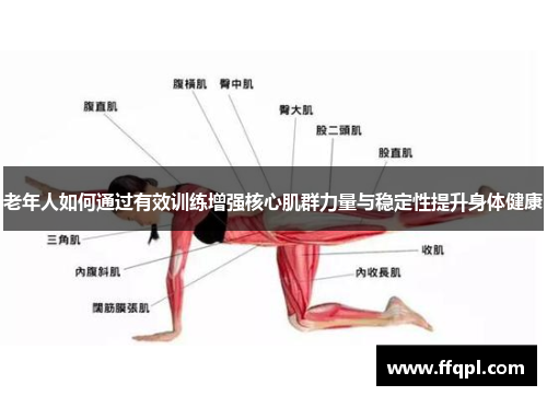 老年人如何通过有效训练增强核心肌群力量与稳定性提升身体健康