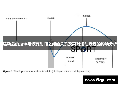运动后的拉伸与恢复时间之间的关系及其对运动表现的影响分析